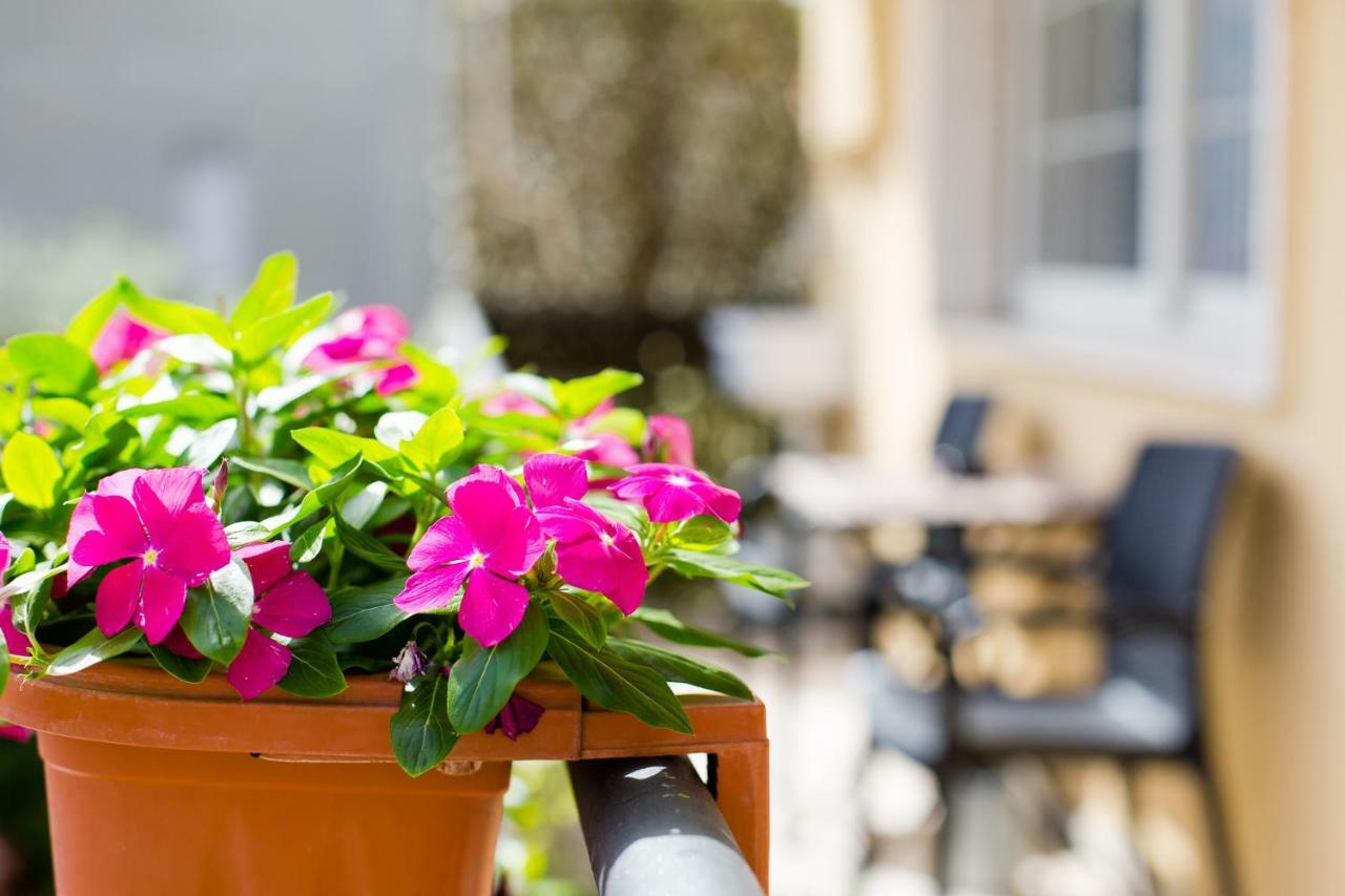 B&B Le City Montesilvano Marina Buitenkant foto